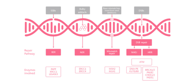 MG电子游戏(中国集团)官方网站