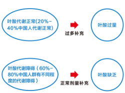 MG电子游戏(中国集团)官方网站