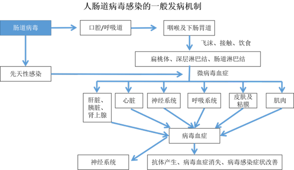 MG电子游戏(中国集团)官方网站