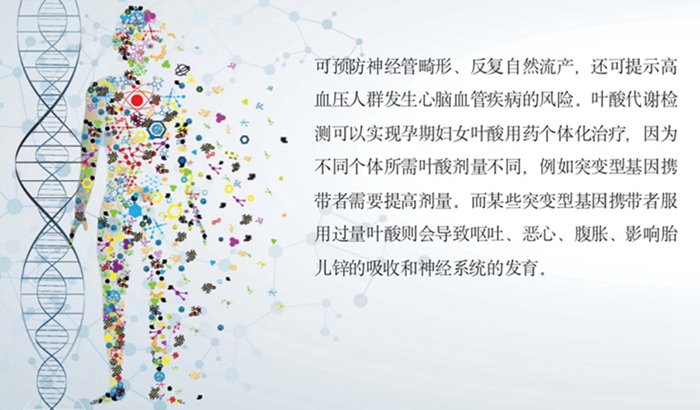 MG电子游戏(中国集团)官方网站