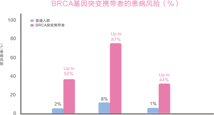 MG电子游戏(中国集团)官方网站