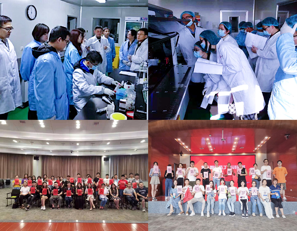 MG电子游戏(中国集团)官方网站