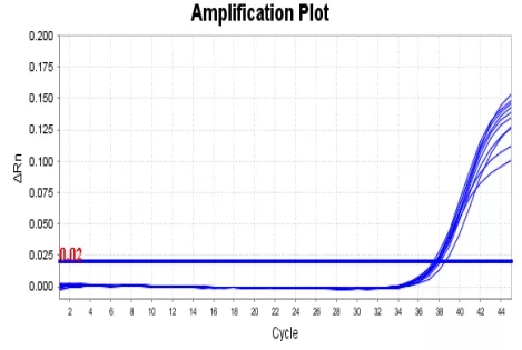 MG电子游戏(中国集团)官方网站
