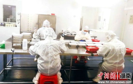 MG电子游戏(中国集团)官方网站