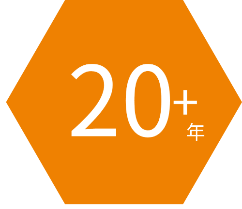 蜂窝IoT和Telematics行业履历