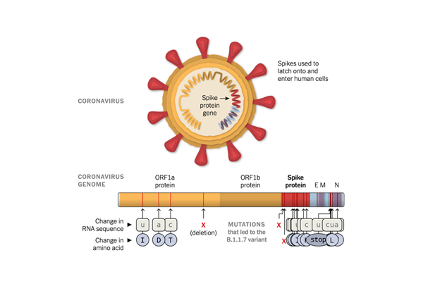 MG电子游戏(中国集团)官方网站