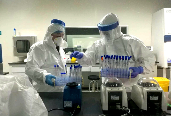 MG电子游戏(中国集团)官方网站