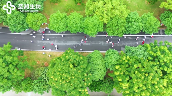 MG电子游戏(中国集团)官方网站