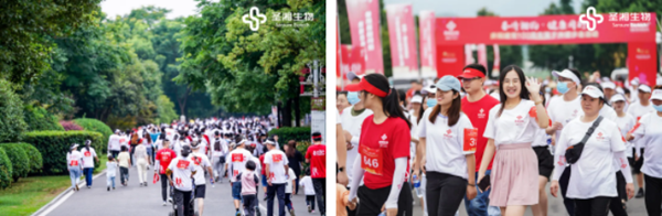 MG电子游戏(中国集团)官方网站