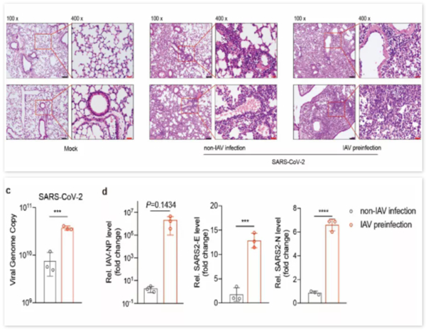 MG电子游戏(中国集团)官方网站