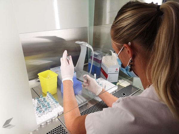 MG电子游戏(中国集团)官方网站