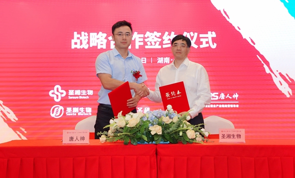 MG电子游戏(中国集团)官方网站