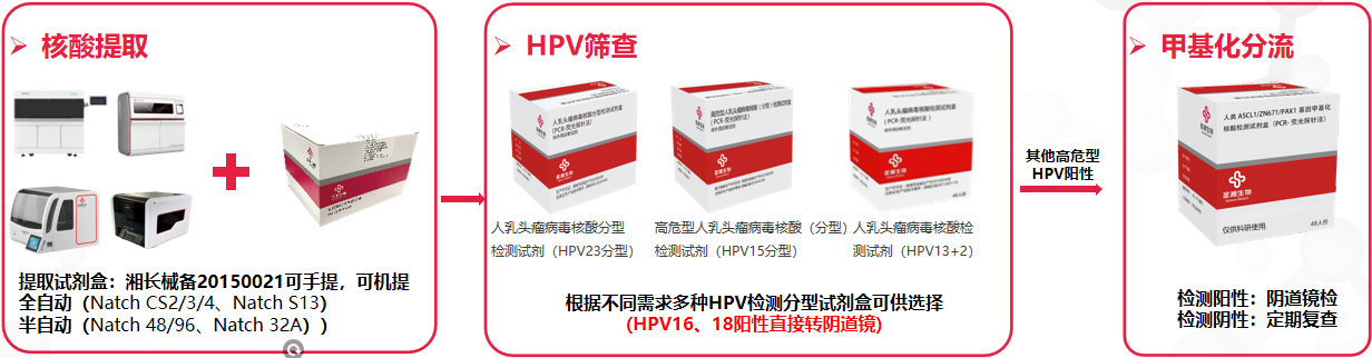 MG电子游戏(中国集团)官方网站