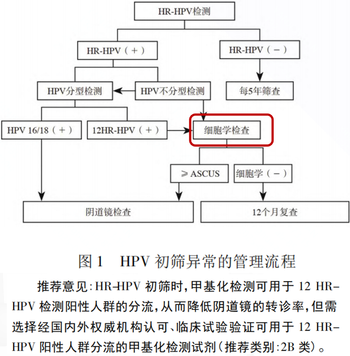 MG电子游戏(中国集团)官方网站
